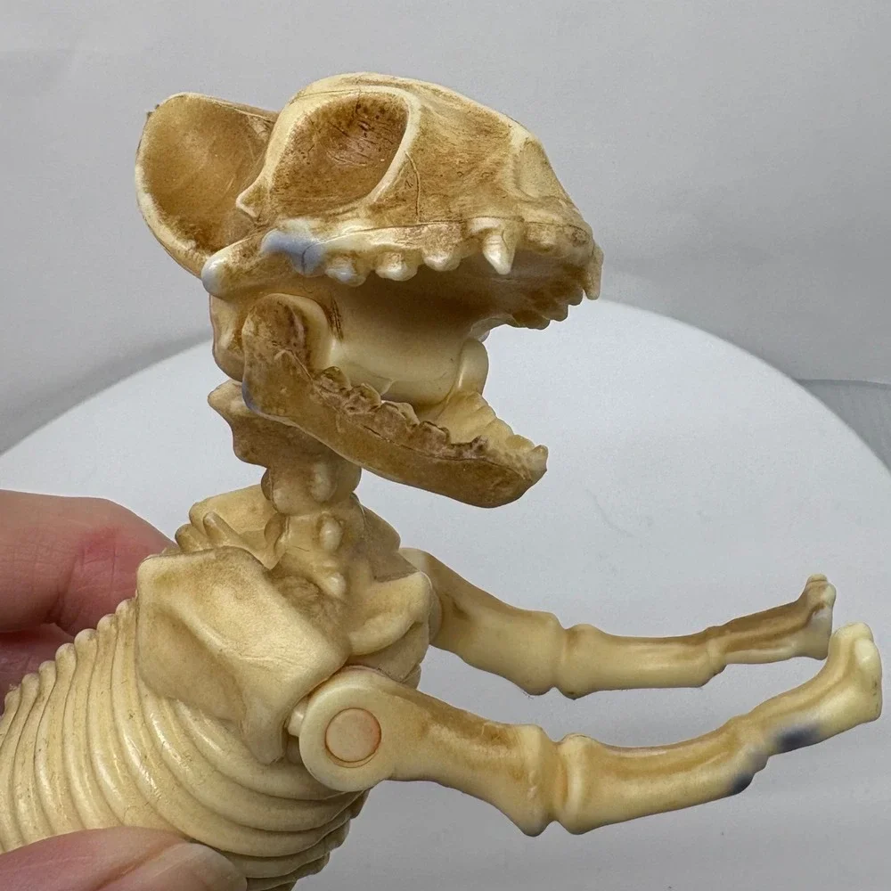 Articulated Cat Skeleton Halloween Figurine Posable Plastic Bone Decor 7 Inch